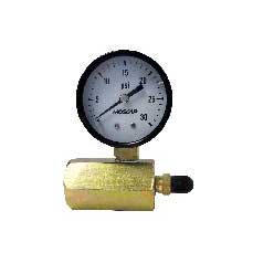Test Block - with Air Valve & 30# Gauge - 3/4" FPT